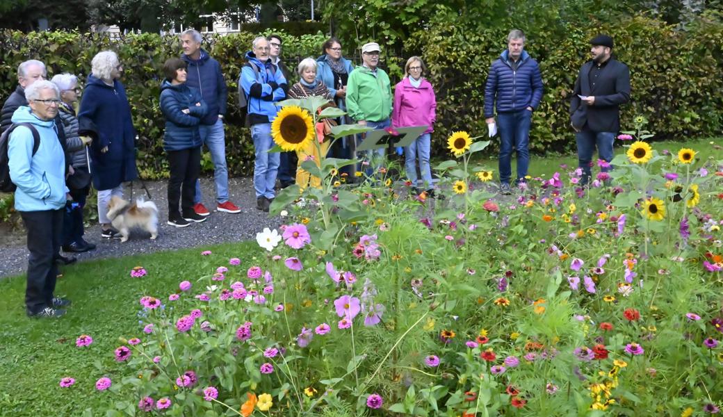 Für die von ihm angesäten üppigen Blumenfelder wird Friedhofsgärtner Kevin Möhl (ganz rechts) immer wieder gelobt. Für die von ihm angesäten üppigen Blumenfelder wird Friedhofsgärtner Kevin Möhl (ganz rechts) immer wieder gelobt.