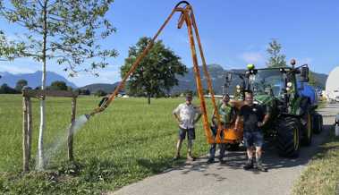 Verein hat mit Landschaftsgestaltern 25 Bäume am Südring gepflanzt Verein hat mit Landschaftsgestaltern 25 Bäume am Südring gepflanzt