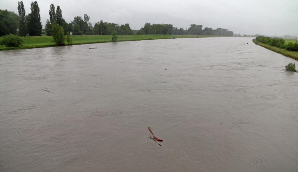 Rhein bei der Wiesenrain-Brücke Widnau. (12.6., 11.15 Uhr)