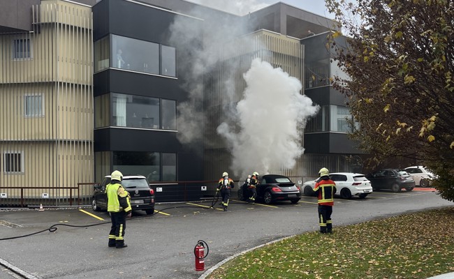 Verdächtiger Geruch im Auto: Autofahrerin stoppte ihre Fahrt