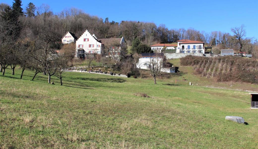 Der Überbauungsplan sieht Solitärbauten an fünf Standorten vor.