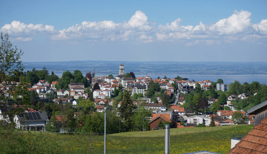 SP und Mitte sagen Ja, SVP sagt Nein: Parteien uneins über Steuerpläne