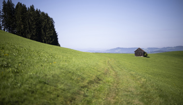 Das St.Galler PFAS-Problem kommt im Nationalrat auf den Tisch