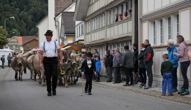 Züchter befürchten nach Absagen Konsequenzen