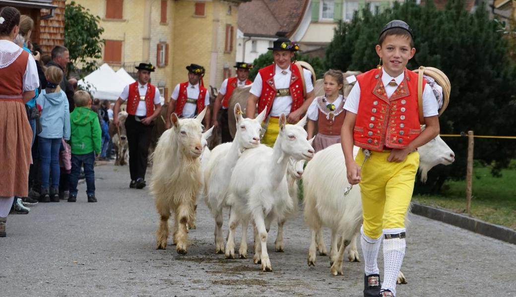 Bild von der Viehschau in Schwellbrunn 2019.