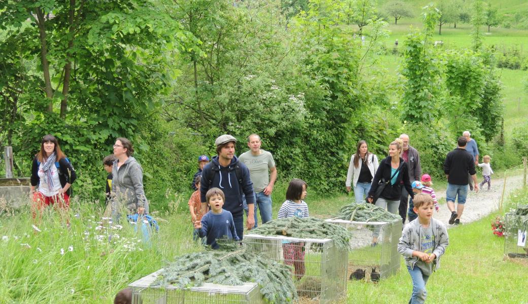 Viele Familien besuchten die Jungtierschau.