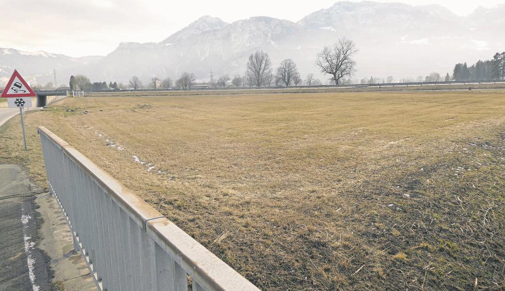 Noch gehören die 6500 Quadratmeter Boden an der Schweizer Strasse ennet der Grenze der Ortsgemeinde Schmitter. Ob und wann der Tausch mit Boden bei Wolfurt über die Bühne geht, steht noch nicht fest. 