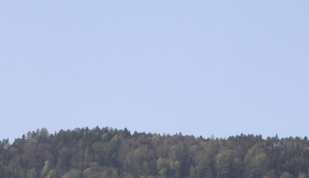 Der Himmel über Eichberg bleibt vorerst antennenfrei.