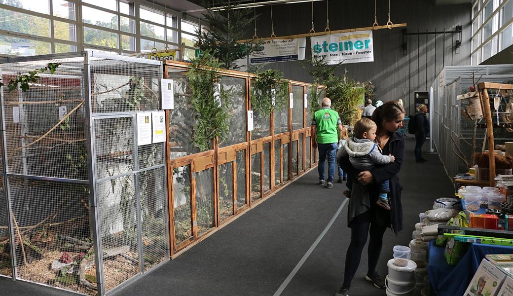 In der Ausstellungshalle waren 120 Vögel zu sehen. 