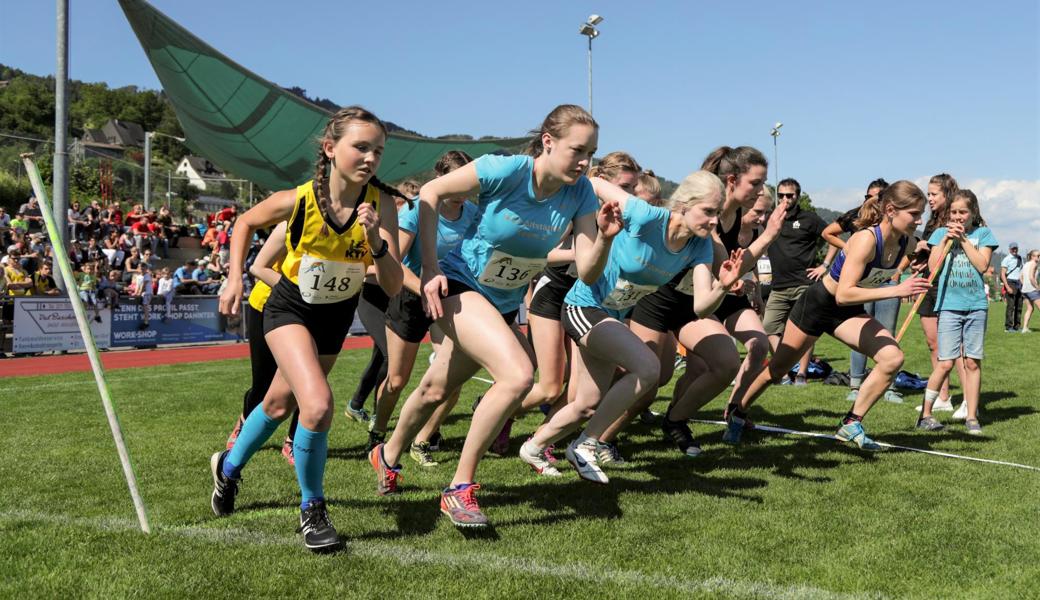 Erstmals in der langen Geschichte des Gesa-Cups treten mehr Frauen- als Männerteams an.