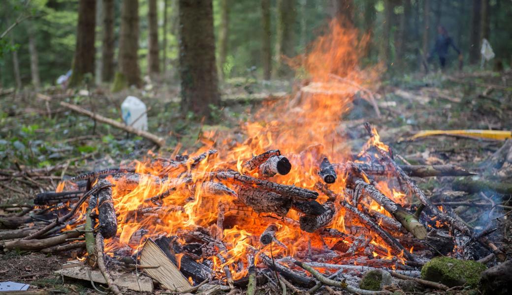 Auch wenn das Feuer machen im Wald wieder erlaubt ist: Vorsicht ist immer geboten.