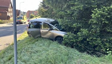 83-Jähriger kommt mit dem Auto von der Strasse ab und landet in Wiesenbord