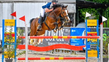 Herbstspringen und Dressurtage beim KV Oberrheintal