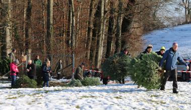 Vom Wald in die gute Stube