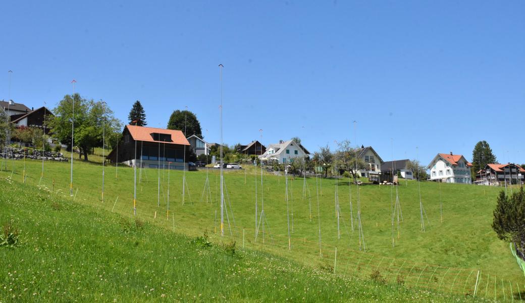 Im Gebiet Unterer Werdbüchel in Heiden sollen mehrere Mehrfamilien- und Einfamilienhäuser gebaut werden.