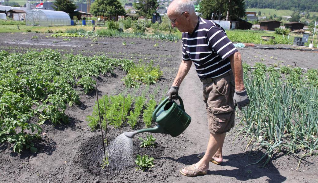 Täglich muss Franz Konrad in seinem Garten giessen. 