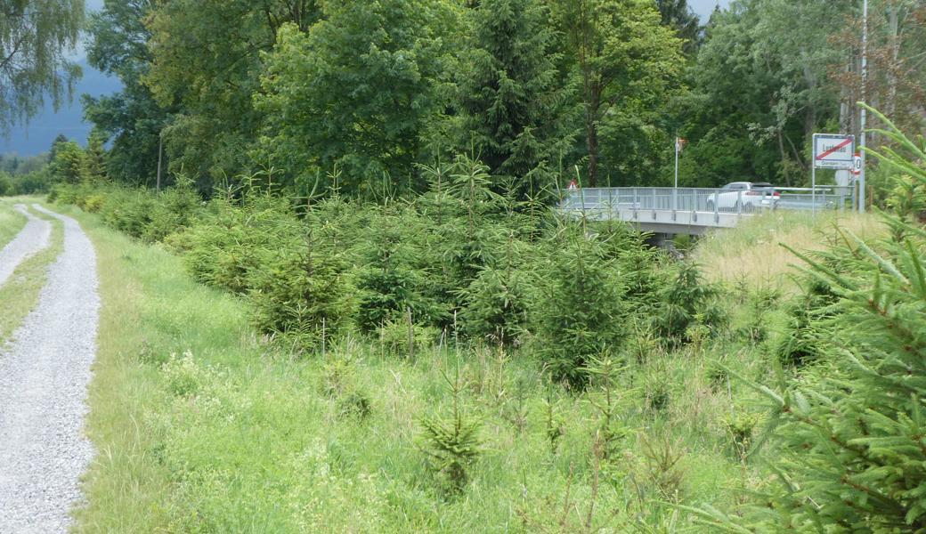 Unter anderem wird der Bodenverbrauch in Vorarlberg vertieft untersucht. 