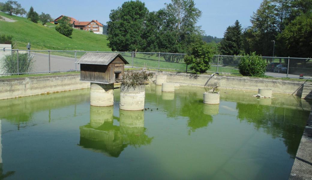 Der bis 1948 als Badeanstalt dienende Weiher im Hasenbühl ist nur halb gefüllt und präsentiert sich unvorteilhaft. 