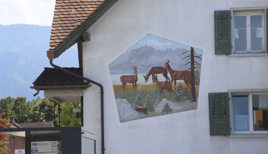 An exponierter Stelle, an Widnaus Diepoldsauerstrasse 42, stechen diese Rehe ins Auge. Das Haus mit dem Fassadenbild befindet sich gegenüber dem Restaurant Da Giovanni (Freihof). 