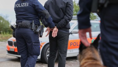 Endstation Wald: Polizei nimmt zwei Männer nach kurzer Flucht fest