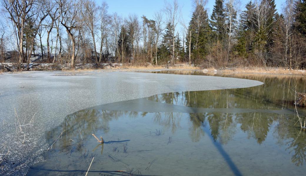 Am Alten Rhein oberhalb des Grenzübergangs in Diepoldsau ist das Wasser nur teilweise gefroren.