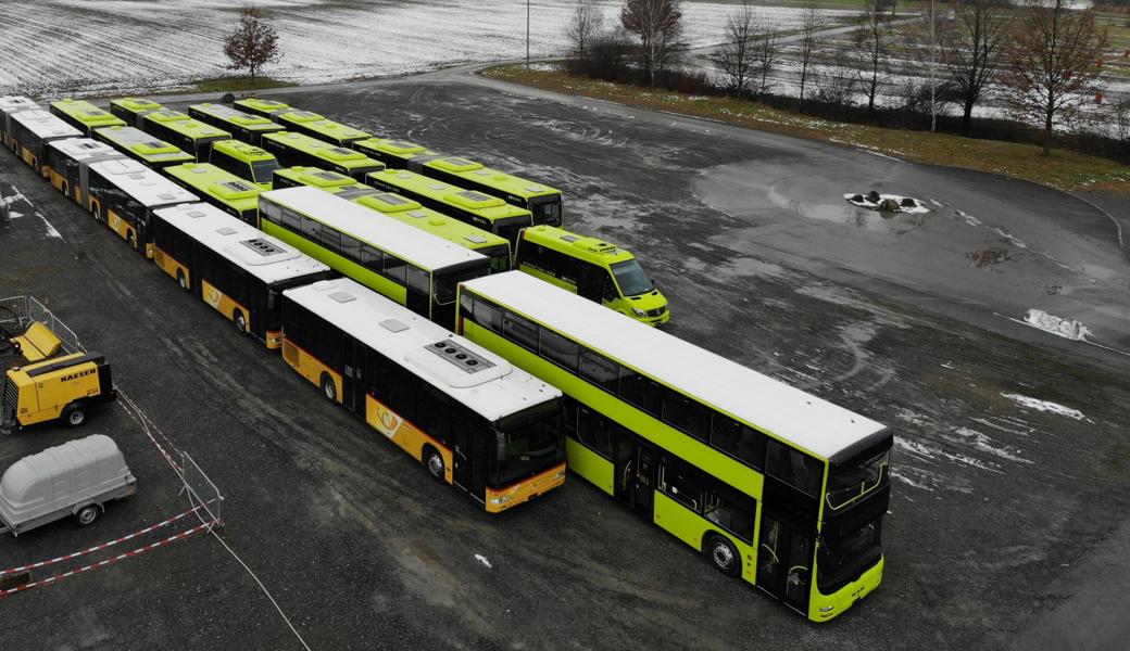 18 ausgemusterte Postautos und Liemobil-Busse warten zurzeit auf der Altstätter Allmend auf den Export. Vier weitere kommen noch dazu.