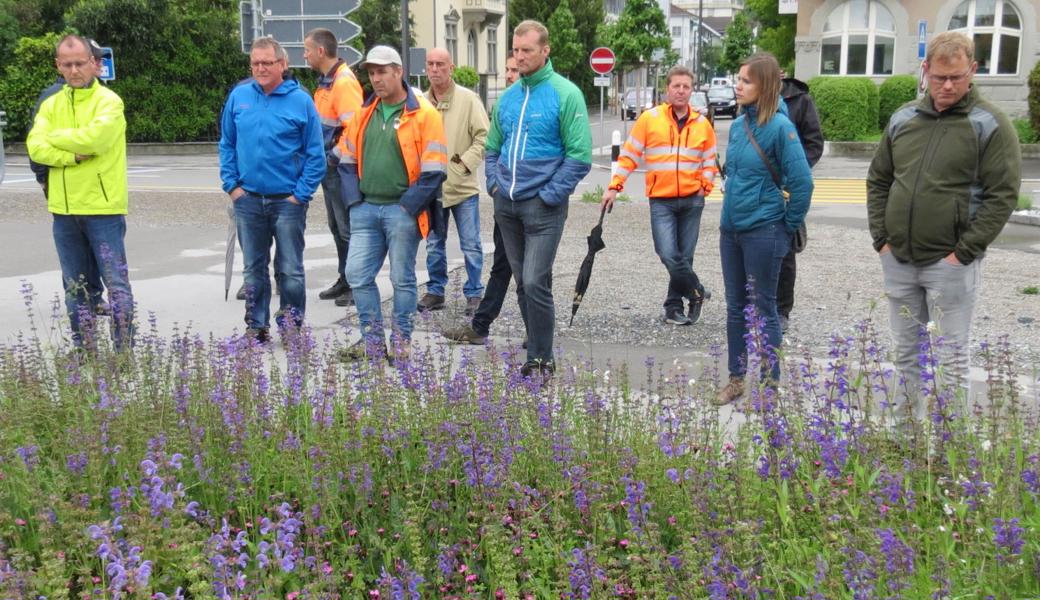 Blumenwiese am Bahnhof