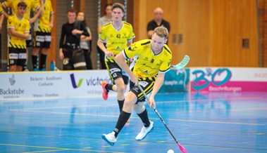 Gators mit erstem Saison-Heimspiel gegen die Vipers InnerSchwyz