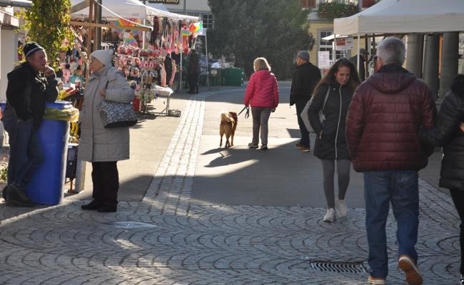 Einladender Martini Markt in Rheineck