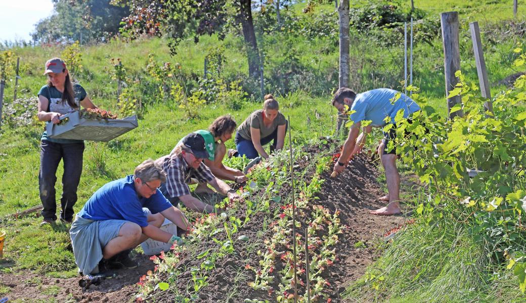 Gewusst wie: In der Permakultur-Ausbildung in Lüchingen lernen die Teilnehmer einen bewussten Umgang mit der Natur.  