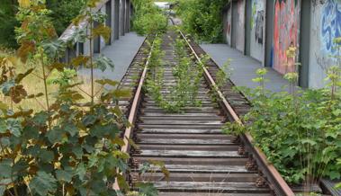 Garten: Alles hat Folgen