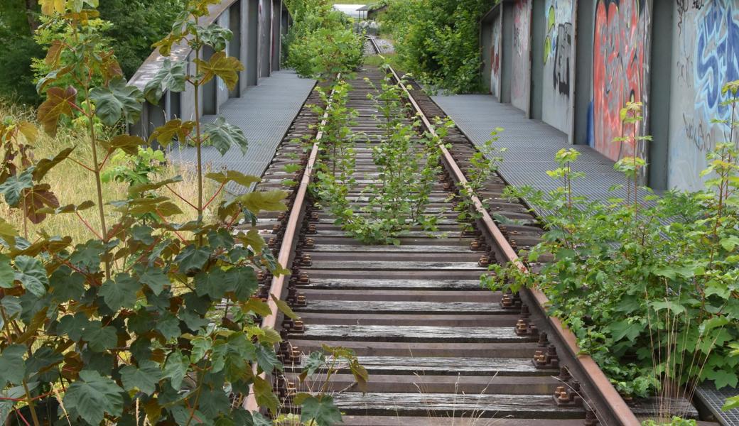 Wohin führt der Weg im neuen Jahr – vorwärts oder zurück?