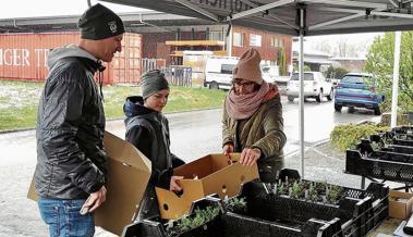 1600 heimische Wildstauden gepflanzt