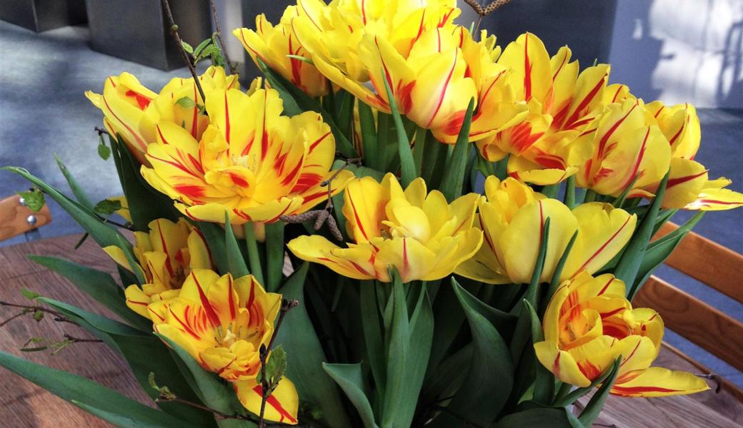 Tulpen zum Valentinstag sind ein Zeichen, in der Pandemie gemeinsam durchhalten zu wollen.  