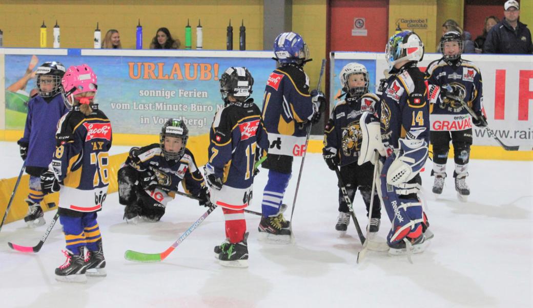 Alle sind eingeladen, das Eishockeyspiel zu erlernen.