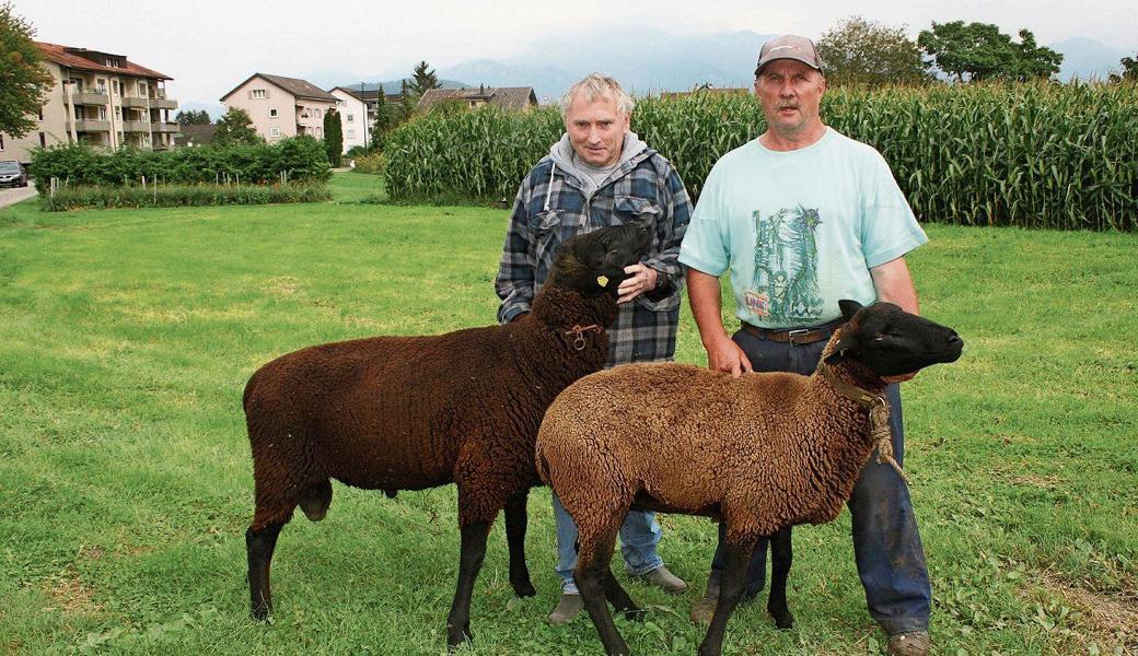 Der stolze Besitzer Elmar Wüst (rechts) mit Aue Veronika und Köbi Grütter mit Widder Pascha. 