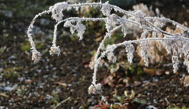 Garten: Bodenlockerer Frost