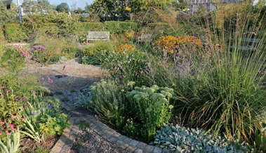 Der Herbst bringt Farbe und Arbeit: So schützen Sie Ihren Garten vor Frost