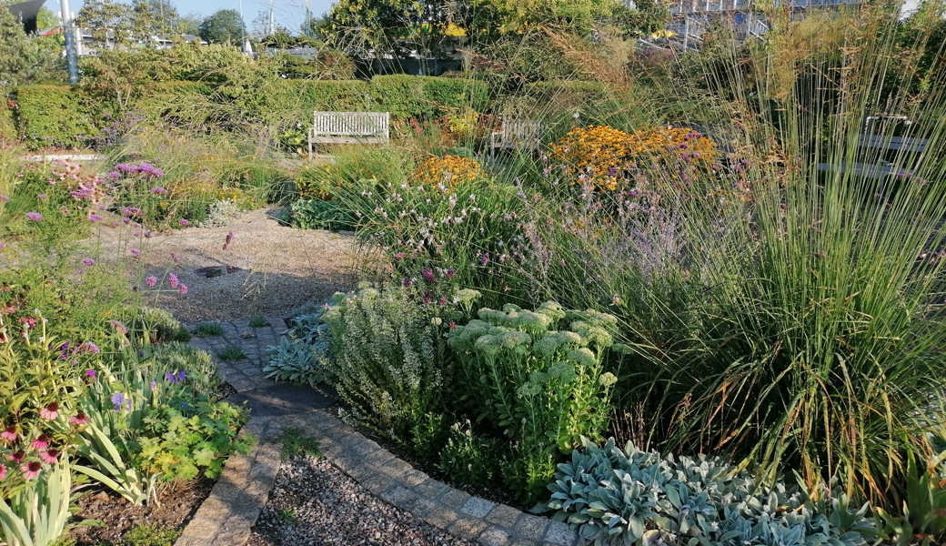 Der Herbst bringt Farbe und Arbeit: So schützen Sie Ihren Garten vor Frost