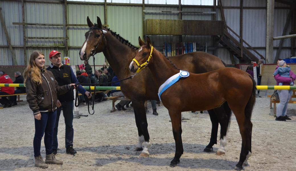 Peter Thurnheer aus Balgach darf das Siegerfohlen der Warmblüter Luana vom Storchenhof sein Eigen nennen.