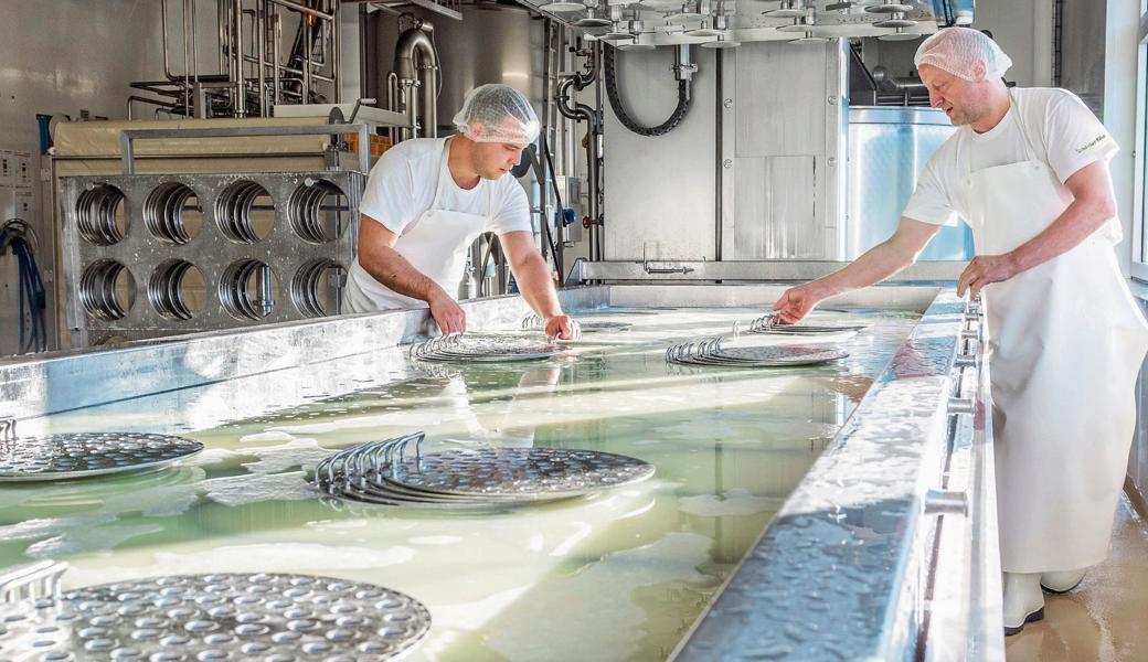 Urnäscher Milchspezialitäten AG: Käsermeister Paul Koller (rechts) und ein Mitarbeiter verarbeiten die Milch. 