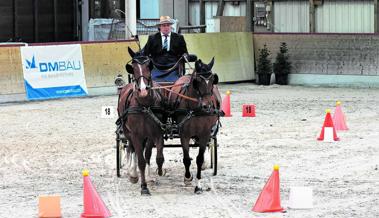 Gespannfahrer massen sich in Oberriet