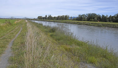 Neues Brückenprojekt in Arbeit: Zu Fuss und mit dem Velo schneller über den Rhein ins Naturschutzgebiet