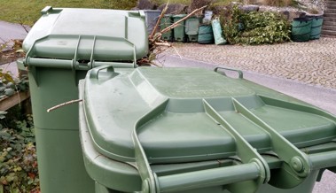 Das Märkli-Drama: Ist die Grundgebühr wirklich fairer als die Grüngut-Gebührenmarken?