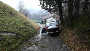 Über Stock und Stein: 83-Jährige kommt mit Auto von der Strasse ab und legt Dachlandung hin