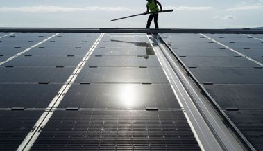 Wegen sinkender Nachfrage und Preiszerfall: Mons Solar baut 55 Stellen ab