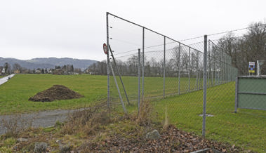 Die Gemeinde erwägt, neben dem Sportplatz Rheinauen eine Skills-Hall für Jugendliche zu bauen