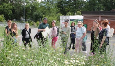Unternehmerinnen auf einem Biodiversitätsrundgang 