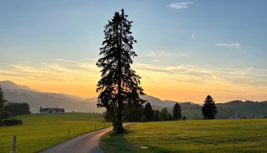 Eine Friedenskonferenz für die Seele