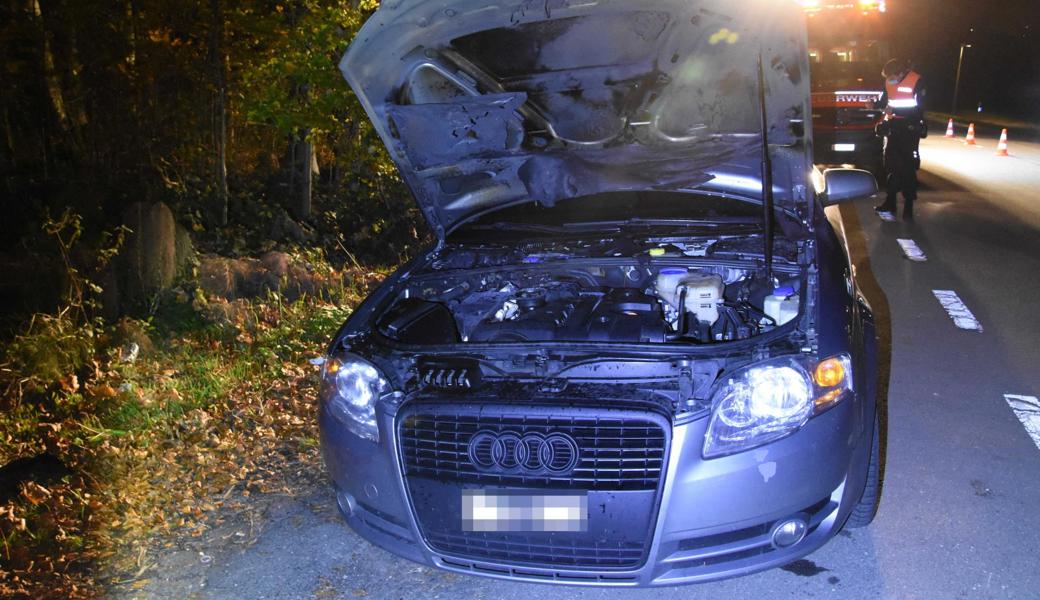 Der Fahrer konnte die Flammen selbst löschen.